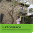 40V 8" Cordless Battery Pole Saw and Hedge Trimmer Attachment: 2.0 Ah Battery and Charger greenworkstools