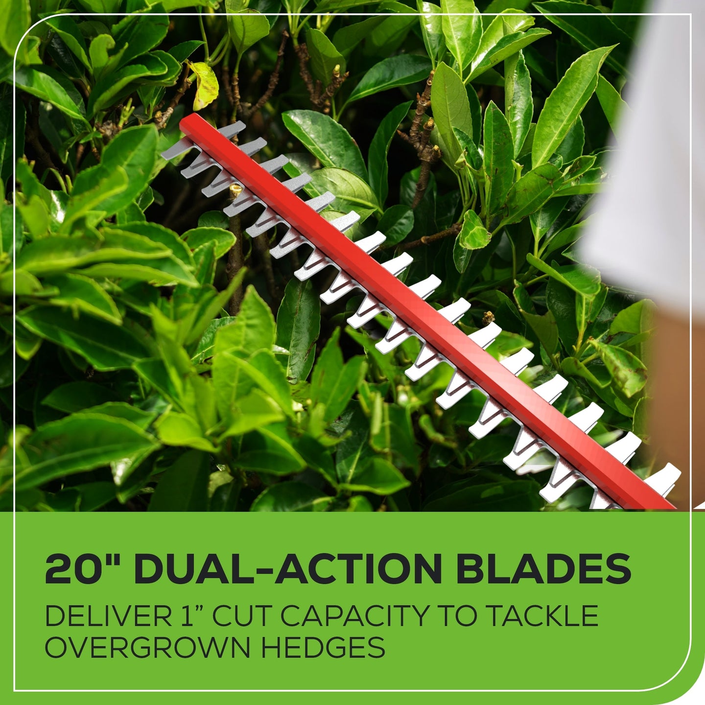 40V 8" Cordless Battery Pole Saw and Hedge Trimmer Attachment: 2.0 Ah Battery and Charger greenworkstools