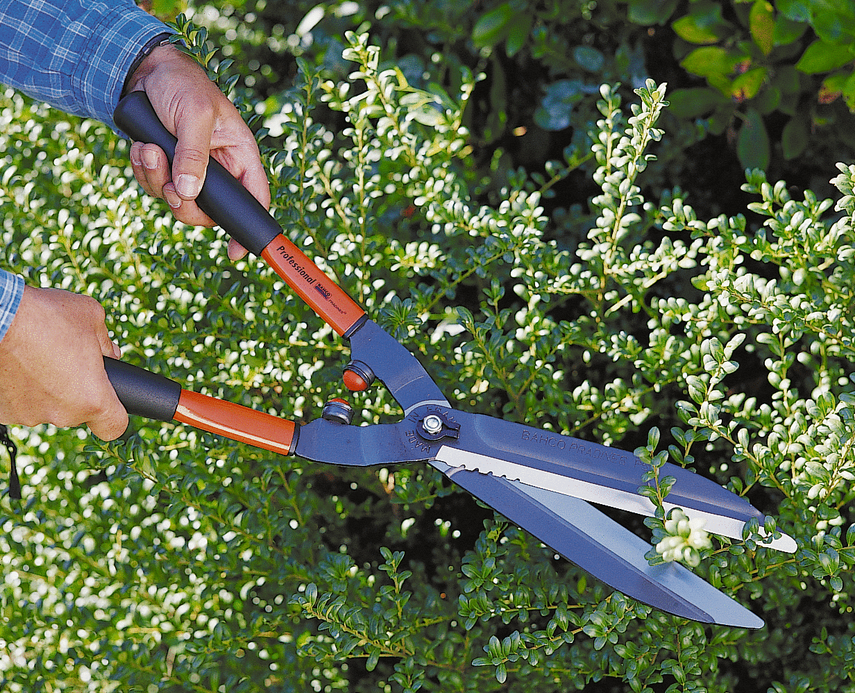 Bahco P51-F Heavy Duty Lightweight Hedge Shears w/ Steel Handle BAHCO