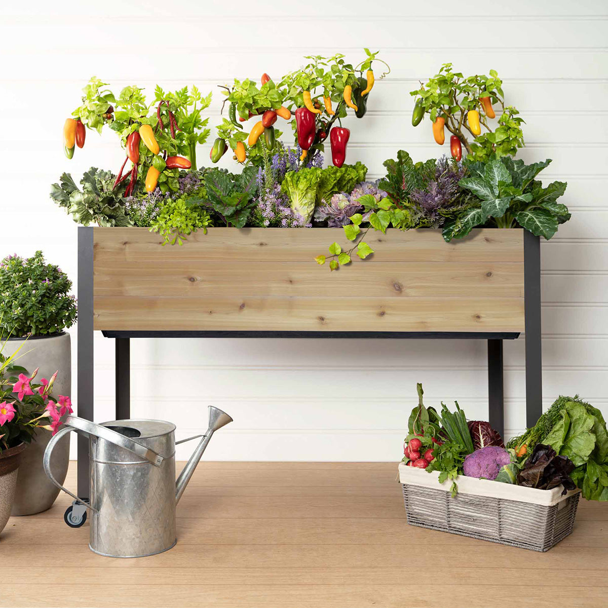 Self-Watering Elevated Planter Dobi & Associates, Inc.