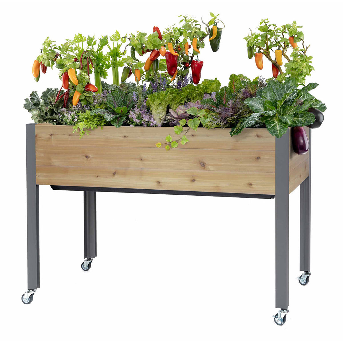Self-Watering Elevated Planter Dobi & Associates, Inc.