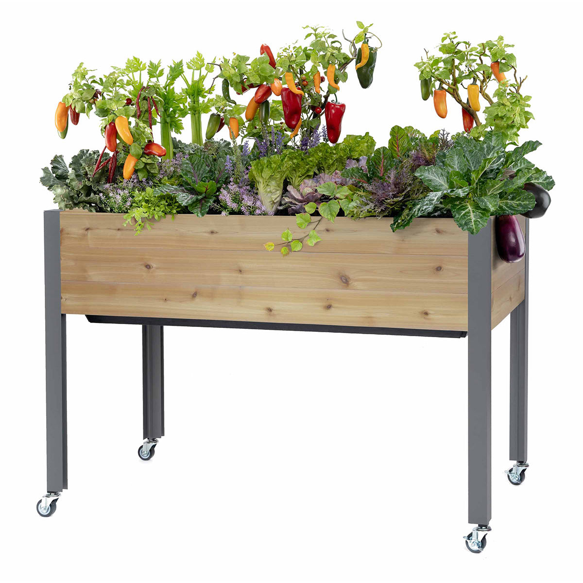 Self-Watering Elevated Planter Dobi & Associates, Inc.