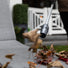 Cordless Air Broom ZoomBroom Inc.