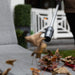 Cordless Air Broom ZoomBroom Inc.