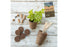 Organic Home Garden Gift Box Set Spade To Fork