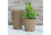 Organic Home Garden Gift Box Set Spade To Fork