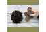 Organic Home Garden Gift Box Set Spade To Fork