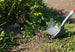 One Shot ''Wing'' Shovel The Great States Corporation dba American Lawn Mower Co