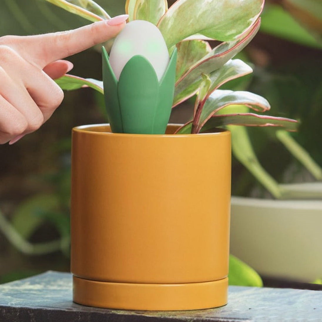 Flora Pod™ Smart Plant Monitor FloraSense Inc