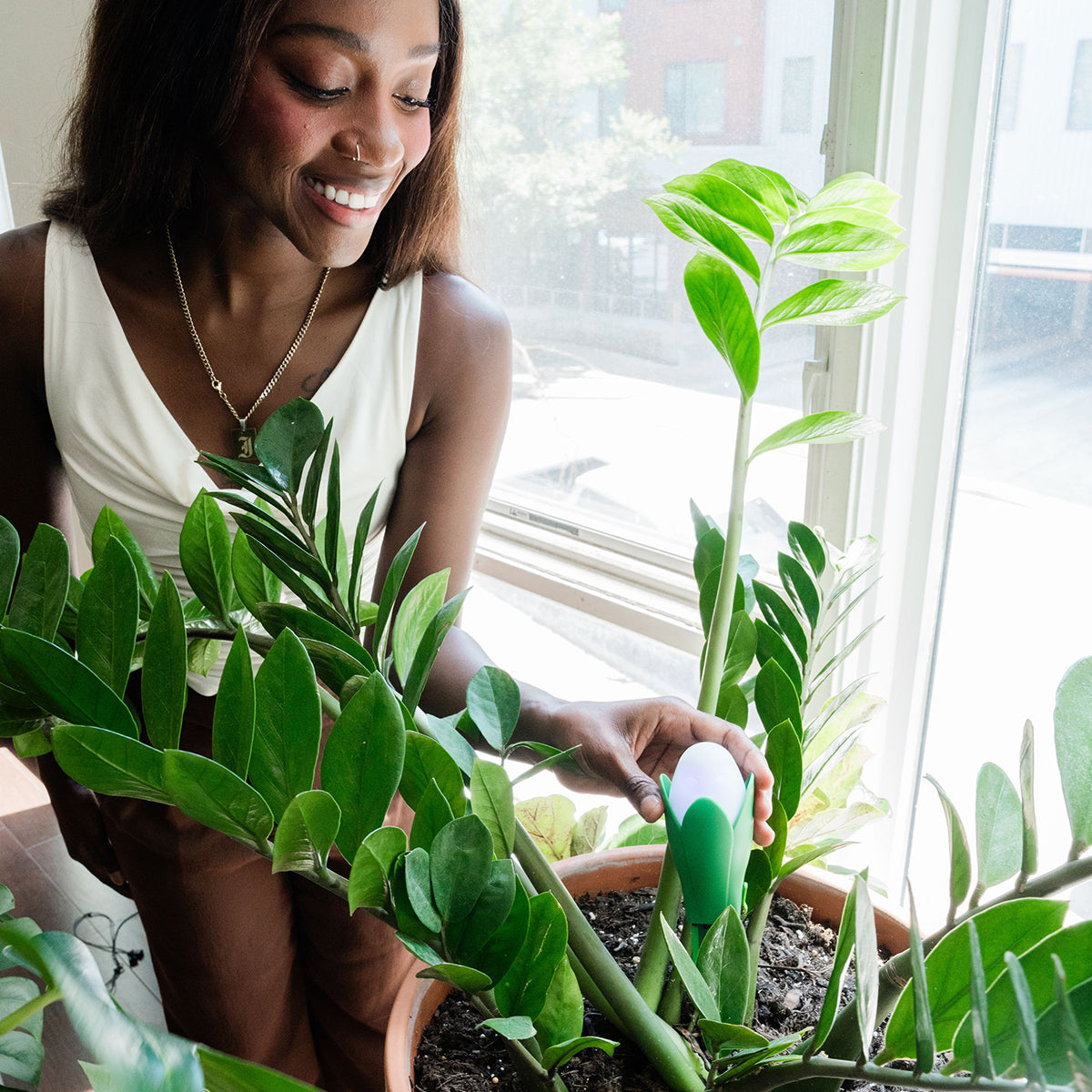Flora Pod™ Smart Plant Monitor FloraSense Inc