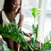 Flora Pod™ Smart Plant Monitor FloraSense Inc