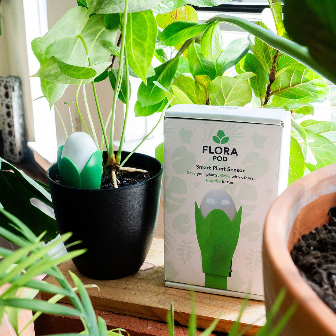 Flora Pod™ Smart Plant Monitor FloraSense Inc