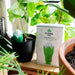 Flora Pod™ Smart Plant Monitor FloraSense Inc