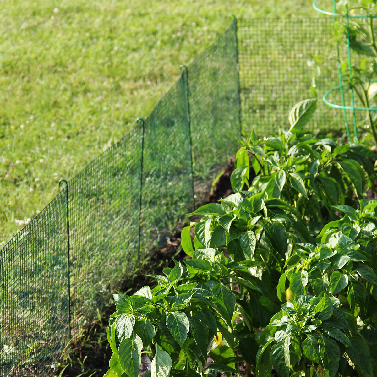 Expandable Modular Garden Fencing System Flipo Group, Inc.
