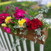 Acacia Wood Deck Rail Planter EMG International USA LLC