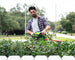 60V 3PC Handheld Combo Kit, 16"String Trimmer, 610 CFM Blower and 26"Hedge Trimmer greenworkstools