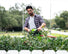 60V 3PC Handheld Combo Kit, 13"String Trimmer, 540 CFM Blower and 26"Hedge Trimmer greenworkstools
