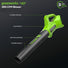 40V 15" Cordless Battery String Trimmer/Blower Combo Kit: 2.5 Ah Battery and Charger greenworkstools