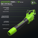 48V (24V x 2) 585 CFM Cordless Battery Leaf Blower w/ (2) 4.0 Ah USB Batteries & Dual Port Charger greenworkstools