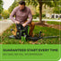 80V 690 CFM Cordless Battery Dual-Port Backpack Blower: (2) 4.0 Ah Batteries and Dual-Port Rapid Charger greenworkstools