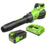 40V 730 CFM Cordless Battery Leaf Blower: 5.0 Ah Battery and 5A Charger greenworkstools