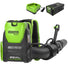 80V 610 CFM Cordless Battery Backpack Blower ,5Ah Battery and Rapid Charger greenworkstools