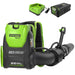 80V 610 CFM Cordless Battery Backpack Blower ,5Ah Battery and Rapid Charger greenworkstools