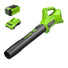 40V 350 CFM Cordless Battery Leaf Blower: 2.0 Ah Battery and Charger greenworkstools