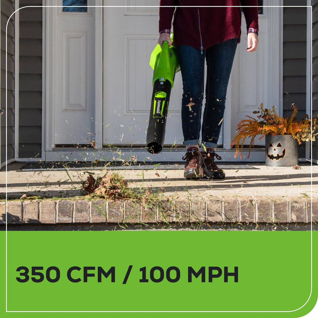 40V 350 CFM Cordless Battery Leaf Blower: 2.0 Ah Battery and Charger greenworkstools