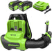 40V 710 CFM Cordless Battery Dual-Port Backpack Blower: (2) 5.0Ah Battery and Charger greenworkstools