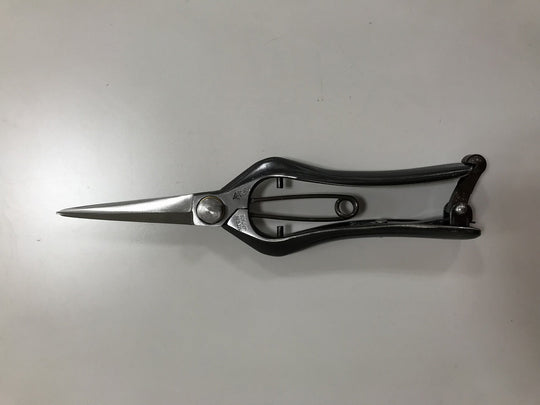 Golden Star Thinning Scissors Professional Kinboshi