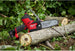 M12 FUEL HATCHET 6" Pruning Saw (Tool-Only) and 6" Saw Chain Kit Milwaukee