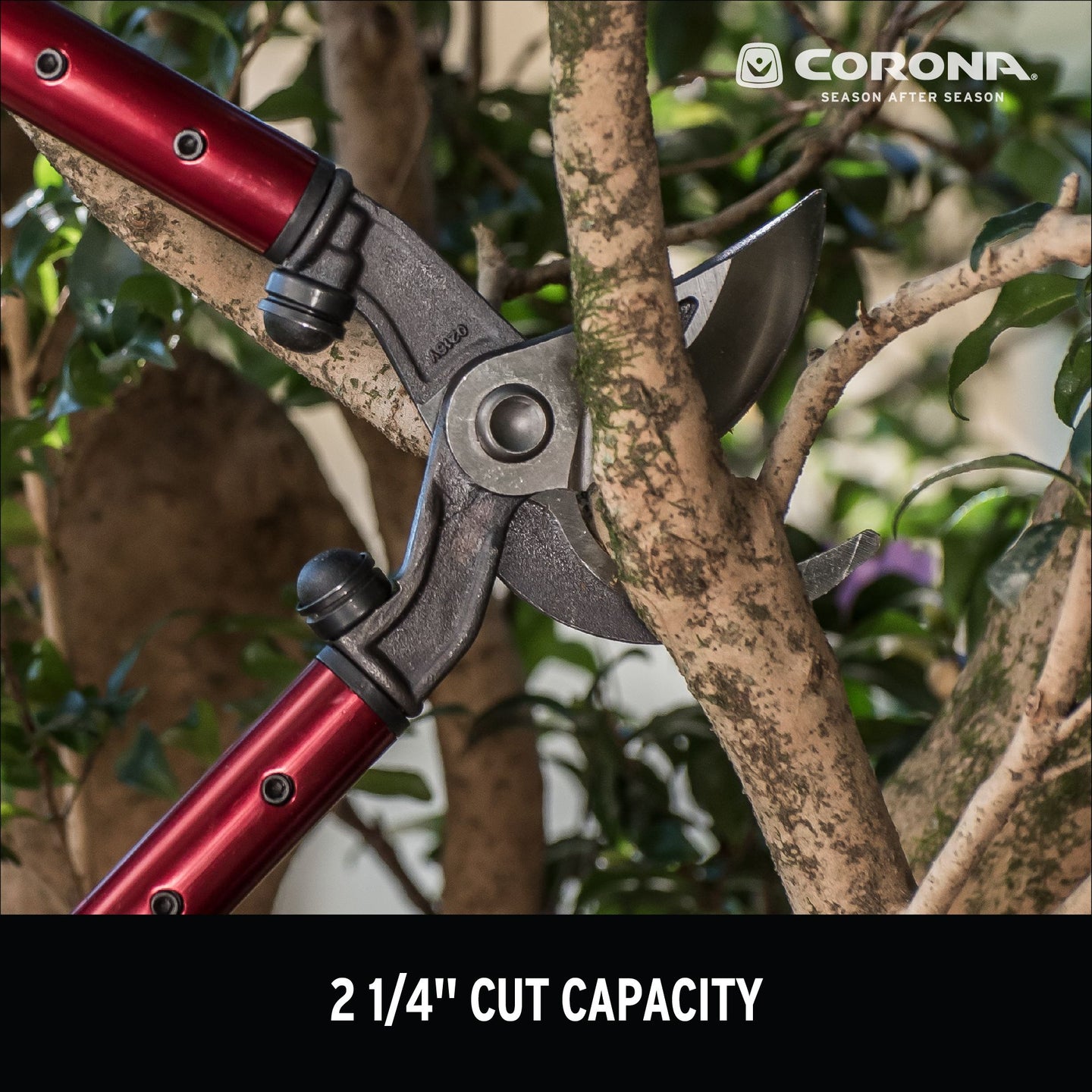 Corona AL 8462 High-Performance Orchard Lopper - 32 in Corona