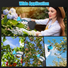 2-in-1 Electric Pruning Shear with Pole - 850W Brushless Motor, 200min Run Time, 4.5-6.3ft Extension for Perfect for Hedges, Trees, and Gardens N/A