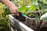 Gardena Hand Grubber 8957-20 Garden Plus