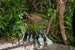 Gardena Hand Rake 8956-20 Gardena