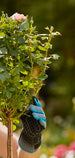 Gardena Cutting and Rose Glove L Garden Plus