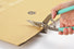 KANESHIKA Multipurpose Scissors Garbage Demolition Shears Sakusaku-kun 250 mm KANESHIKA