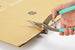 KANESHIKA Multipurpose Scissors Garbage Demolition Shears Sakusaku-kun 250 mm KANESHIKA