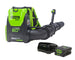 60V 550 CFM Cordless Battery Backpack Blower w/ 5.0Ah Battery & Charger greenworkstools