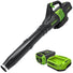 60V 450 CFM Cordless Battery Leaf Blower w/ 2.0Ah Battery & Charger greenworkstools