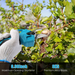 2-in-1 Electric Pruning Shear with Pole - 850W Brushless Motor, 200min Run Time, 4.5-6.3ft Extension for Perfect for Hedges, Trees, and Gardens N/A