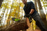 80V 18" Cordless Battery Chainsaw and 10" Pole Saw Combo Kit: 4.0 Ah Battery and Rapid Charger greenworkstools