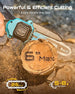 SEESII Mini Chainsaw & Electric Pruning Shears Combo, 6-inch Brushless Handheld Power Chain Saw, 1.2??Cutting Cordless Pruner for Tree Trimming, Tools Kit with 2x2000mAh Batteries, Fast Charger Seesii