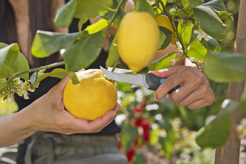 Gardena VeggieCut Garden Plus