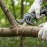 A6-MINISAWPRO electric pruning shears sharp blade close-up cutting thick tree branch – professional cordless pruner