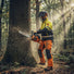Professional forester felling large oak tree in dense forest with MIP6800 58cc heavy-duty gas chainsaw-minisawpro