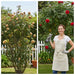 Before and after pruning with A5-MINISAWPRO cordless electric shears – overgrown vs neatly trimmed rose bush