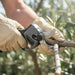 A4-MINISAWPRO electric pruning shears sharp blade close-up cutting olive branch – precision cordless garden pruner