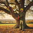 British forest ranger pruning heritage oak tree in English country park with 2J00 25.4cc petrol chainsaw-minisawpro